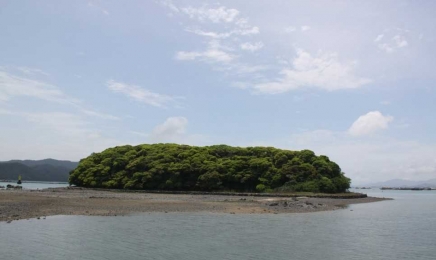 해수부 '8월의 무인도서'에…'까막섬' 강진 대오도