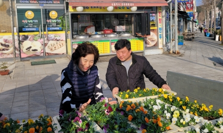 ‘강진을 생각해 주세요’ 관광객 맞이 팬지 전시