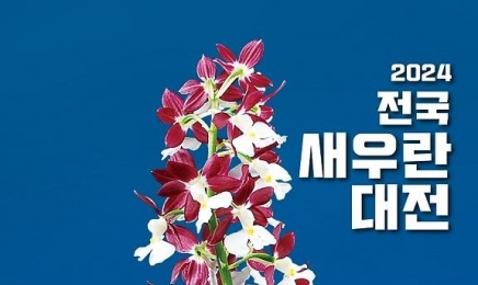 전남 신안 분재정원서 4월 20-21일 ‘전국 새우란 대전’