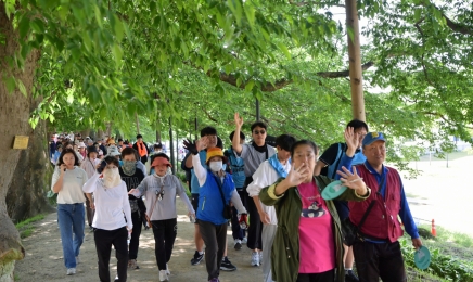 담양군, 제23회 담양 대나무 축제 맞이 ‘메타세쿼이아길 걷기대회’ 개최  ​​