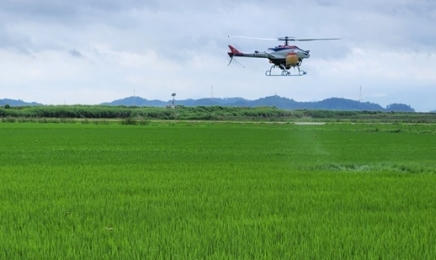 순천 무인헬기·드론 쌀농사 항공 방제 8억 집행