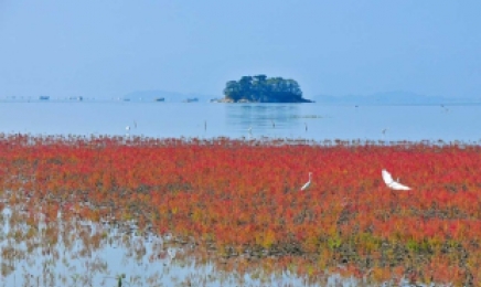 전남 4개 시군 '여자만' 국가갯벌해양정원 보존 합의