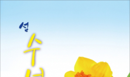 봄의 섬 선도!‘섬 수선화 축제’ 3월30일 개막