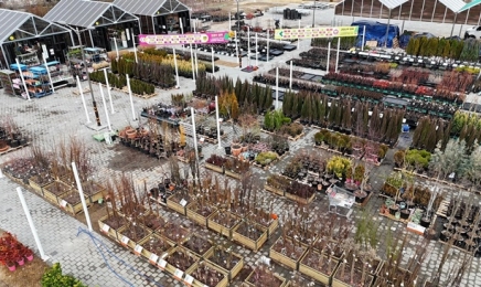 조경수·정원용품 순천만가든마켓 나무시장 개장