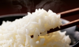 맛있는 밥 위한 쌀 보관법…“밀폐용기 담아 냉장고에” [식탐]