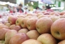 “국내산 너무 비싸”…高高한 과일값에 소비도 줄었다 [푸드360]