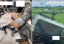 “현역 군인이 SNS에 총기·장갑차 사진 올리는 세상”…도마 오른 軍 통신보안