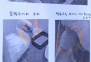 [영상] 누가 돌파매질을…'명물 오리가족' 크게 다쳐 경찰 수사 착수