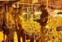 “충격적이다” 경찰도 화들짝…“70억원짜리 생산 가능” 이 농장 정체 뭐길래? 칠레 발칵