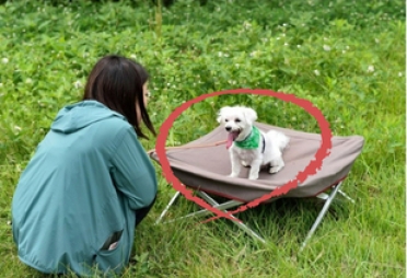 “나오자마자 순식간에 완판” 20만원짜리 침대 정체…없어서 못 산다?