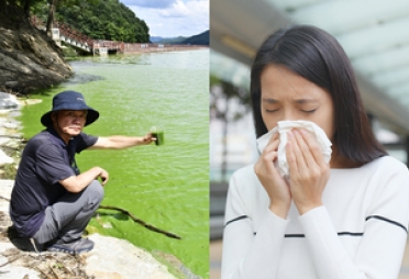 “녹조가 콧속에서 왜 나와?” 아무도 몰랐다…공기로 전파 충격 [지구, 뭐래?]