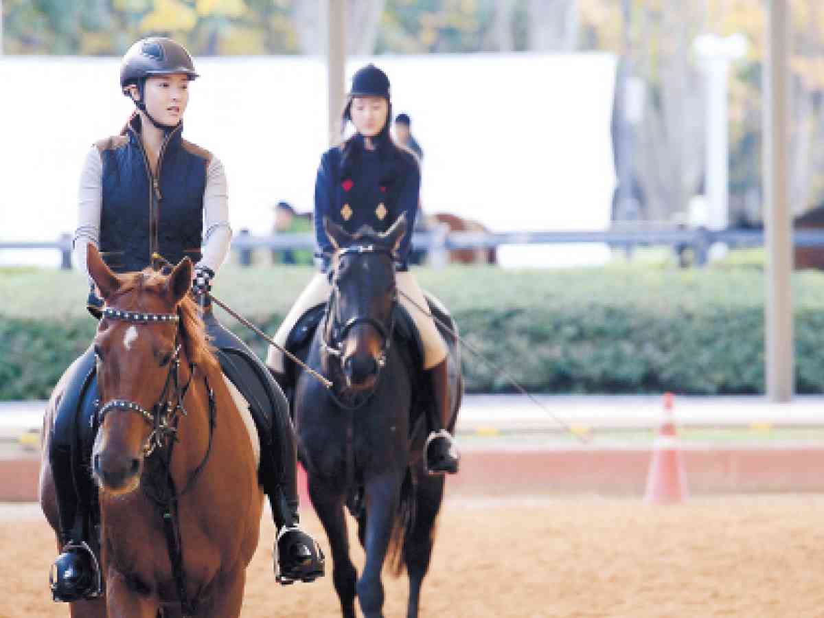 Horse girl sex in Seoul