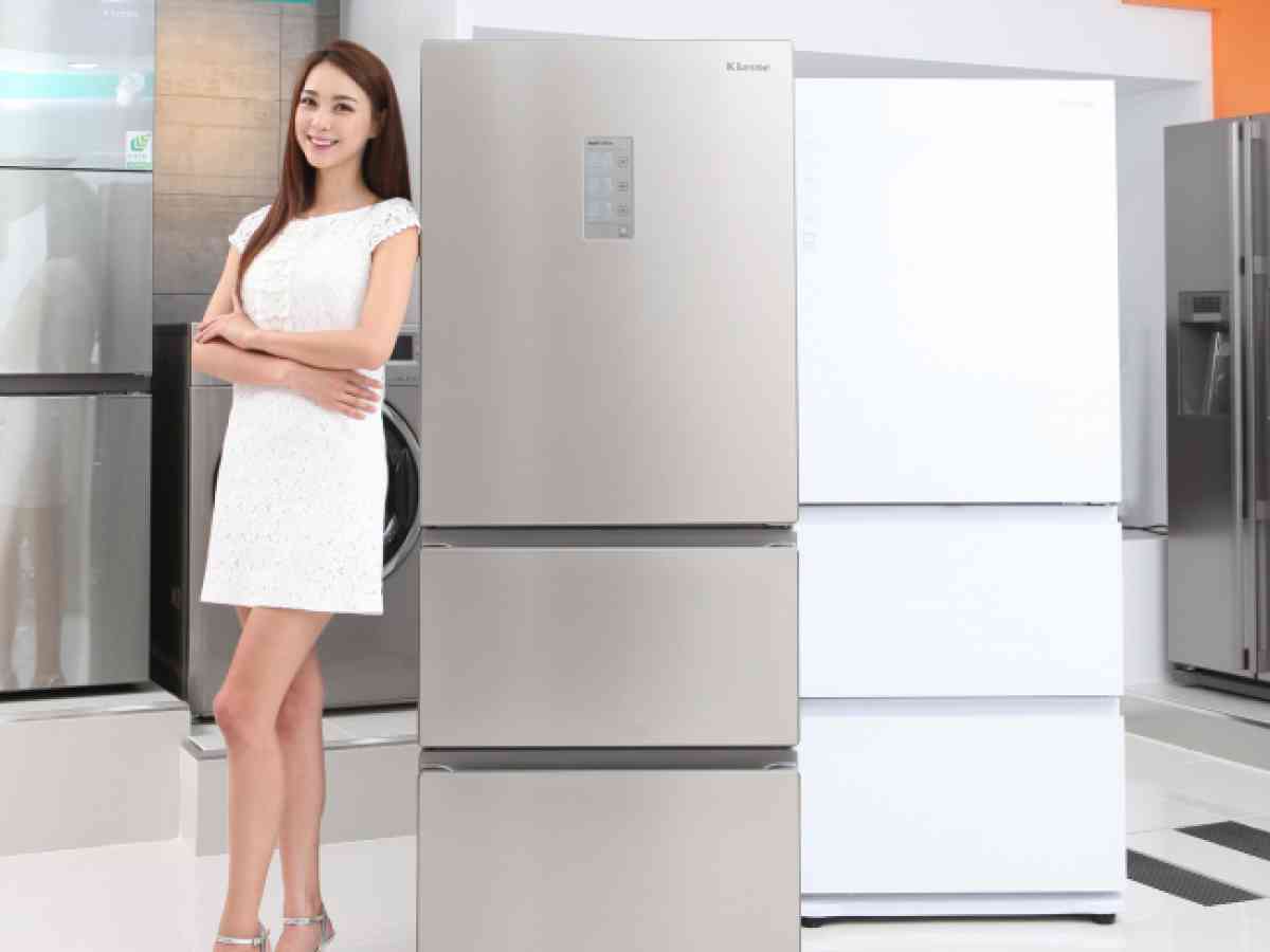 Photo News] New kimchi fridge