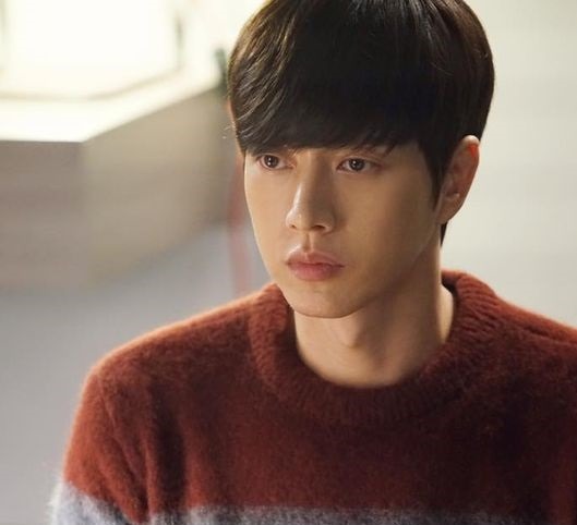 Cheese In The Trap Under Fire Park Hae Jin Joins Fray