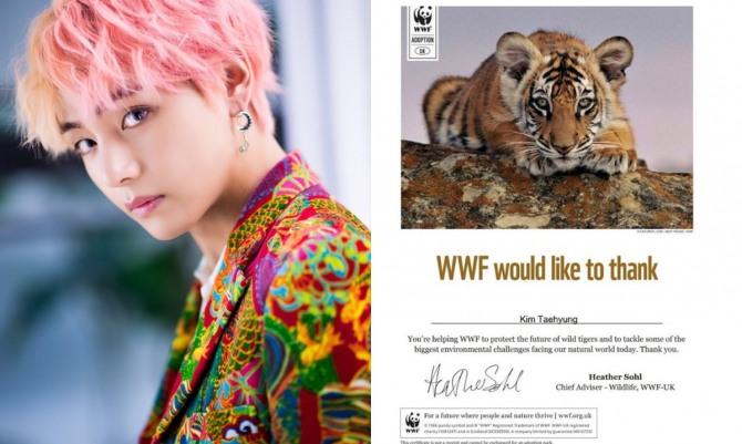BTS fans support endangered tigers for V's birthday