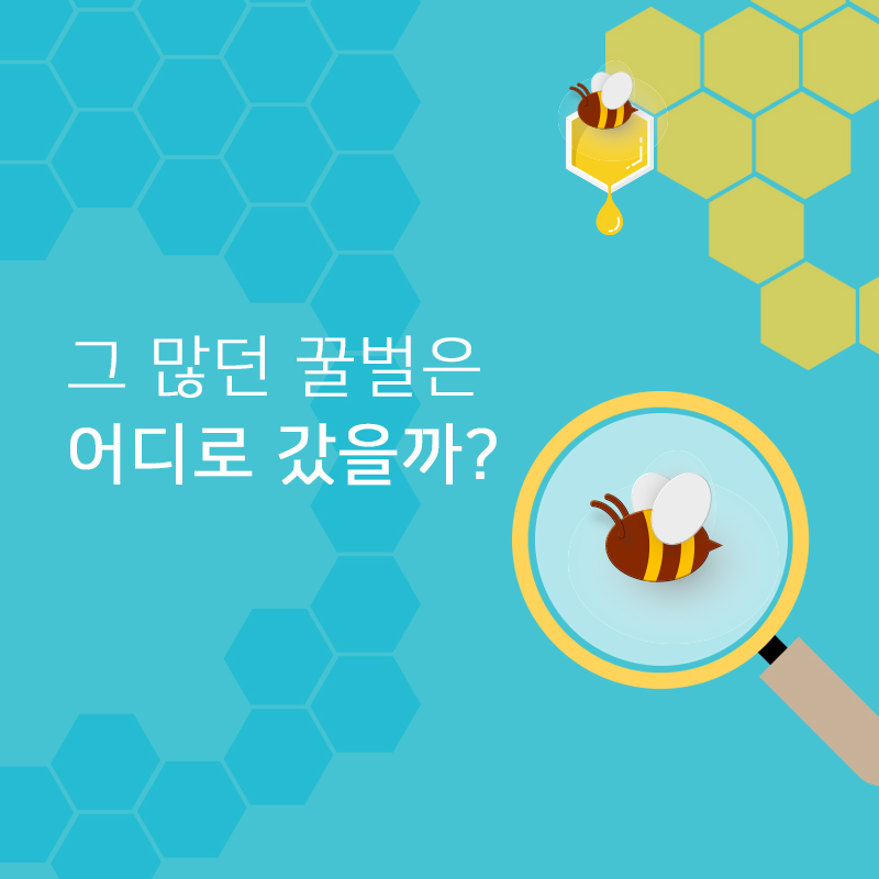 19숨은꿀벌찾기01.jpg