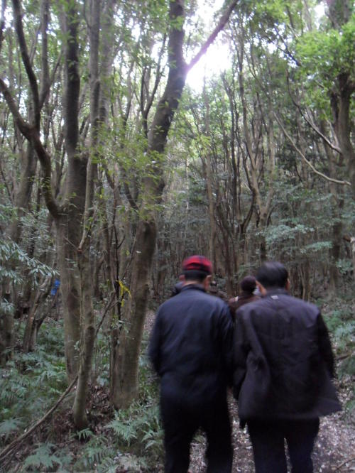Reporters walk in the Sunheul Gotjawal Forest on Jeju Island on Jan. 13.(Kim Yoon-mi/The Korea Herald)
