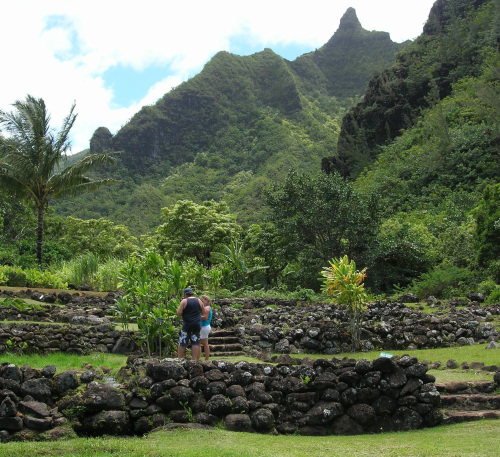 The Limahuli Garden and Preserve in Kauai, Hawaii, where visitors can walk ancient terraced areas where Hawaiians grew taro. (Seattle Times/MCT)