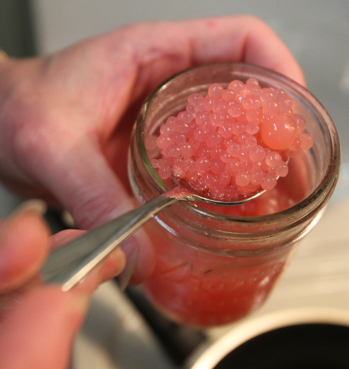 Patrick Powers spoons guava juice caviar in his kitchen in San Mateo, California. (Oakland Tribune/MCT)