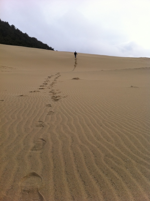Sand dune on Daecheong Island (Oh Kyu-wook/The Korea Herald)