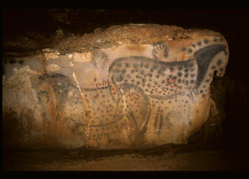 This undated photo provided by the Pech Merle Prehistory Center shows a cave painting of pair of spotted horses, found in the Pech Merle Cave in Cabrerets, southern France. Scientists estimate the drawing, measuring about 4 meters wide by 1.5 meters high, is about 25,000 years old. An ancient DNA study found that Ice Age artists drew horses based on their observations rather than imagination. (AP-Yonhap News)