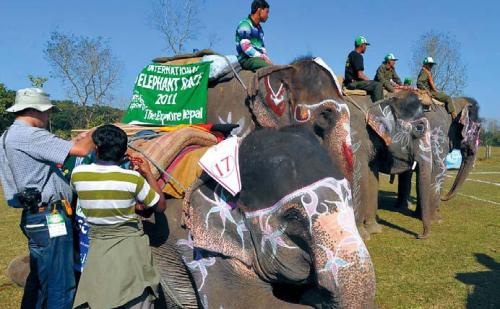 Nepalese mahouts with their elephants prepare to take part in the eighth International Elephant Race at Sauraha in Chitwan, some 150 km southwest of Kathmandu, on Tuesday.