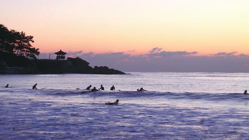 Surfers embrace the winter waves at Songjeong Beach in Busan. (Song Jeong Surfing Club)