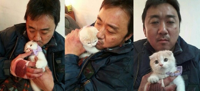Actor Ma Dong-suk palys with a kitten between the scenes for film 