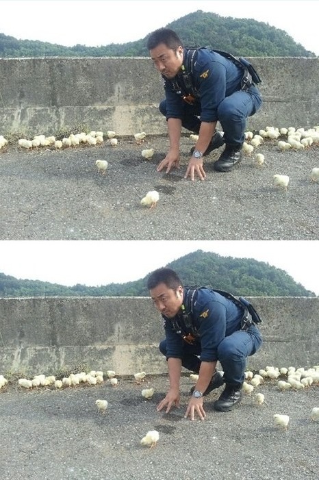 Actor Ma Dong-suk palys with the chicks between the scenes for film 