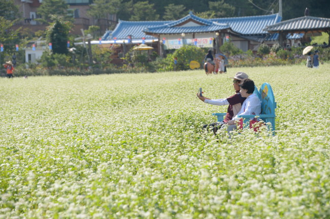 Tourists take a selfie in the field of buckwheat blossoms in Pyeongchang. (Lieto)