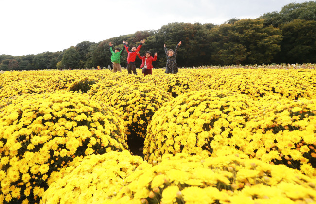 Children play with chrysanthemum flowers at Sanglim Park in Hamyang, South Gyeongsang Province. (Yonhap)