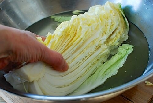 What kind of cabbage is used for kimchi?