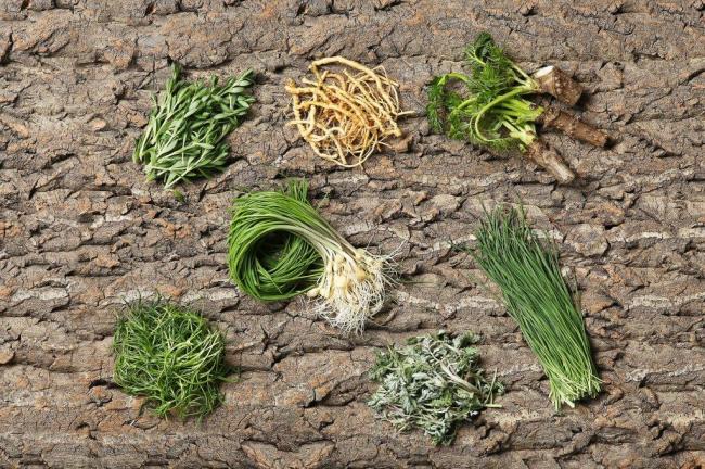 Early spring vegetables, clockwise from bottom left: saebal, dallae, donnamul, sseumbawgi, dureup, yeongyang buchu, and ssuk (Photograph by Lee Kyeng-sub)