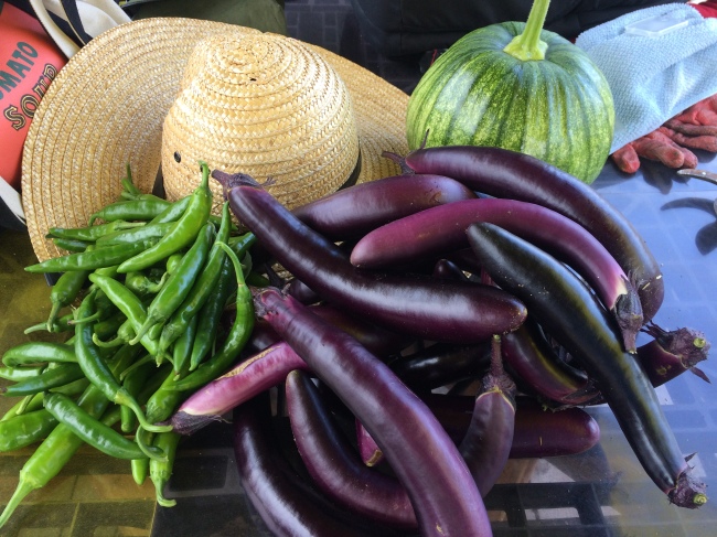 Eggplant harvested from a Pajeori rooftop farm (Courtesy of Pajeori)