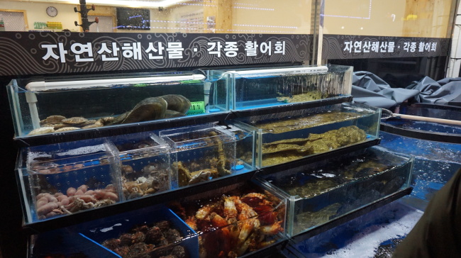 Fresh seafood tanks at Chungnyeon Soosan in Bucheon, Gyeonggi Province (Christine Cho)