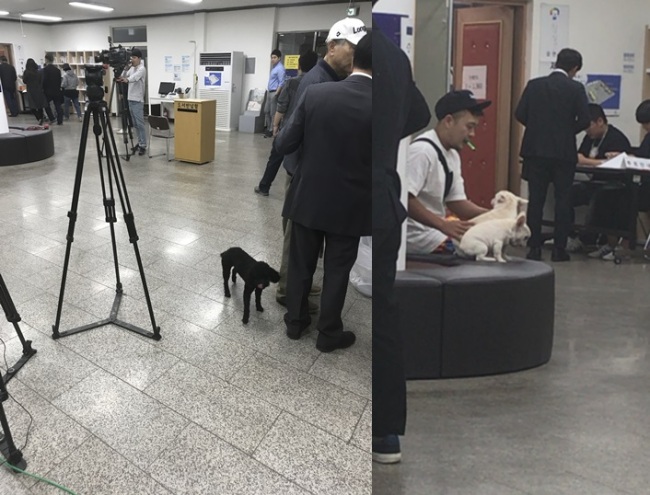 Animal lovers bring their pets to voting booths (Bak Se-hwan/The Korea Herald)