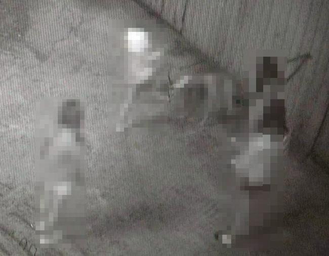 A capture of the leaked CCTV recordings (Yonhap)