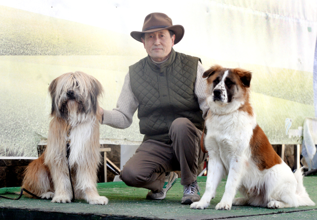 Dr. Ha Ji-hong (Center) with Sapsaree Dogs at Korea Sapsaree Foundation in Gyeongsan, North Gyeongsang Province (Park Hyun-koo/The Korea Herald)