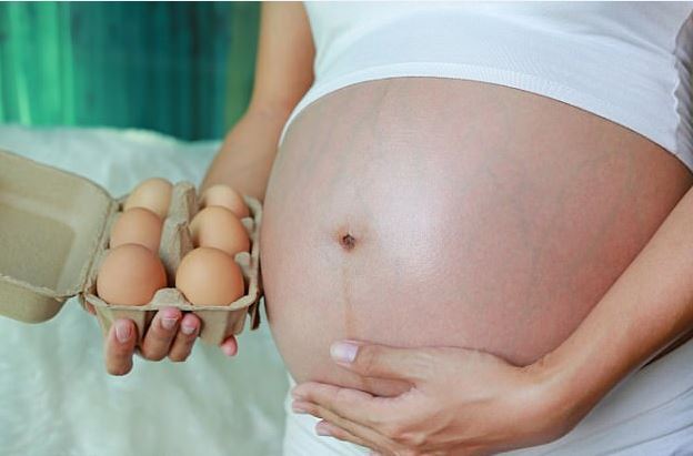 달걀 섭취한 임산부 아이가 Iq 더 높은 이유
