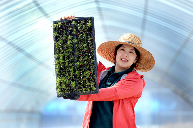 Song Ju-hee, a 29-year-old farmer, poses with the seedlings at her farm in Hwacheon, Gangwon Province. (Park Hyun-koo/The Korea Herald)