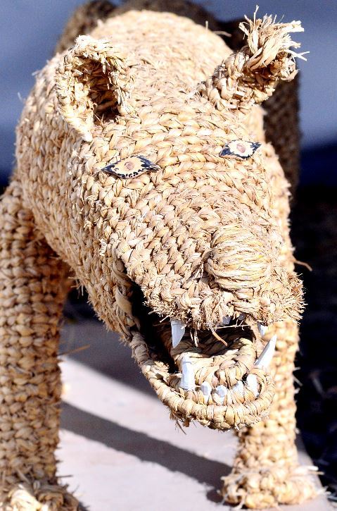 Incredible sculptures of dino-STRAWS and other creatures crafted using rice  stalks - Irish Mirror Online