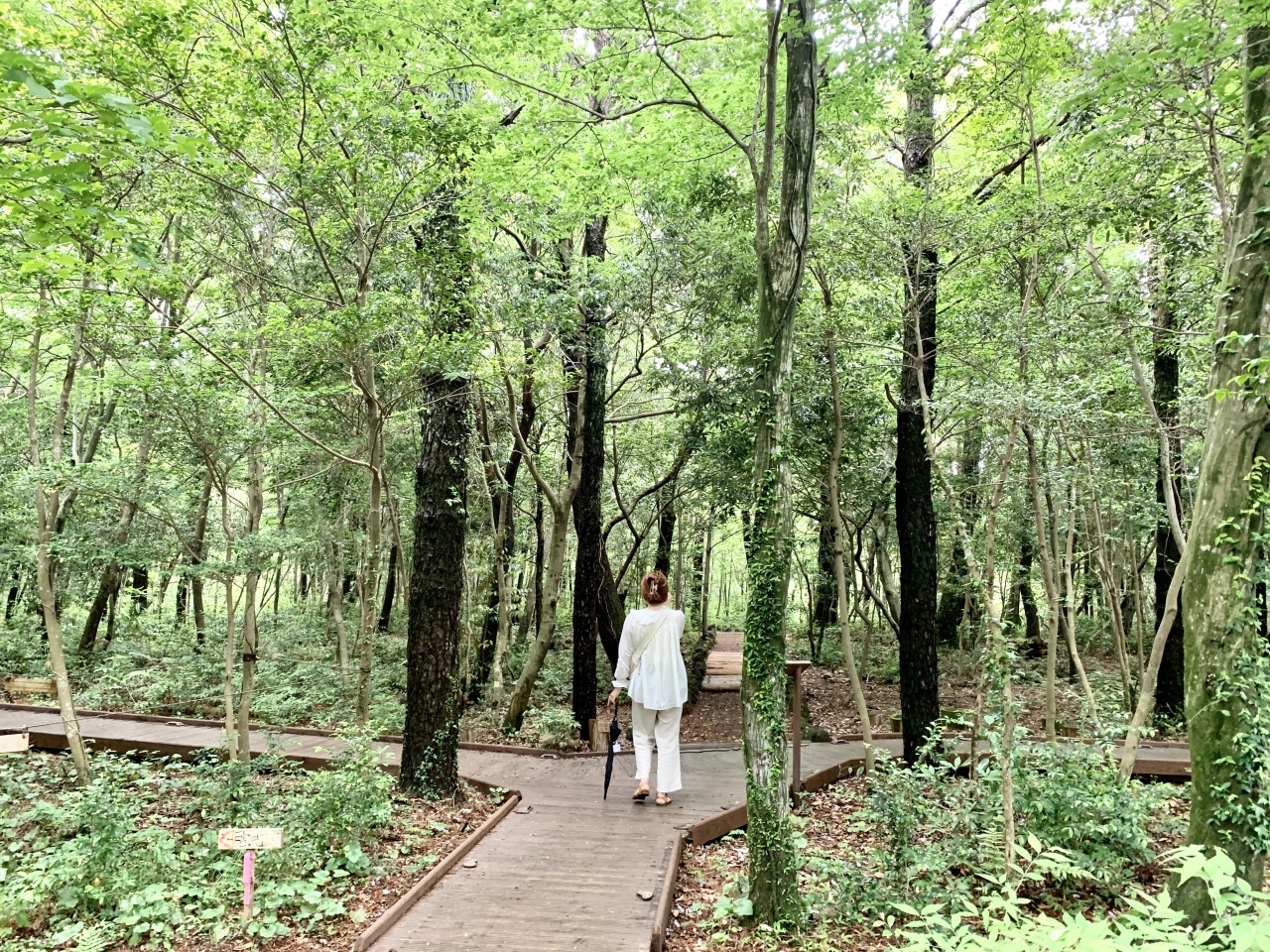 A tourist walks along a path in the Seogwipo Forest of Healing. (Im Eun-byel/The Korea Herald)