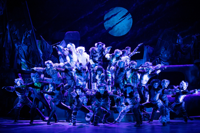 Scene from musical “Cats” (S&Co)