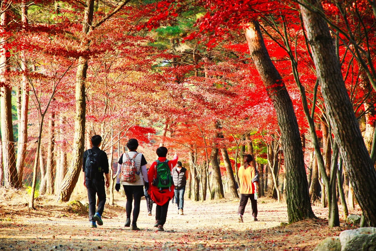 People hike on Palbongsan in Gangwon Province in November. (Yonhap)