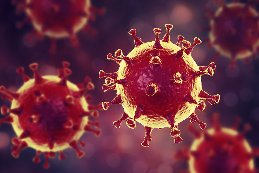 A computer-generated image of coronavirus (123rf)