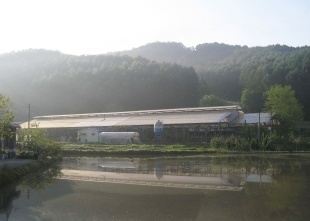 Youngjun Farm, established in 1996, moved to its current location in Naesan-ri, North Chungcheong Province in 2002. (Youngjun Farm)