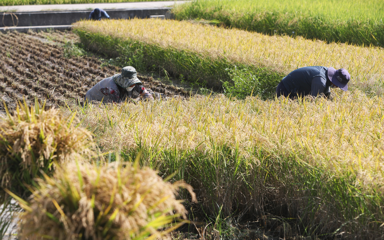 Rural fields in Dongnae-myeon, Chuncheon, Gangwon Province (Yonhap)