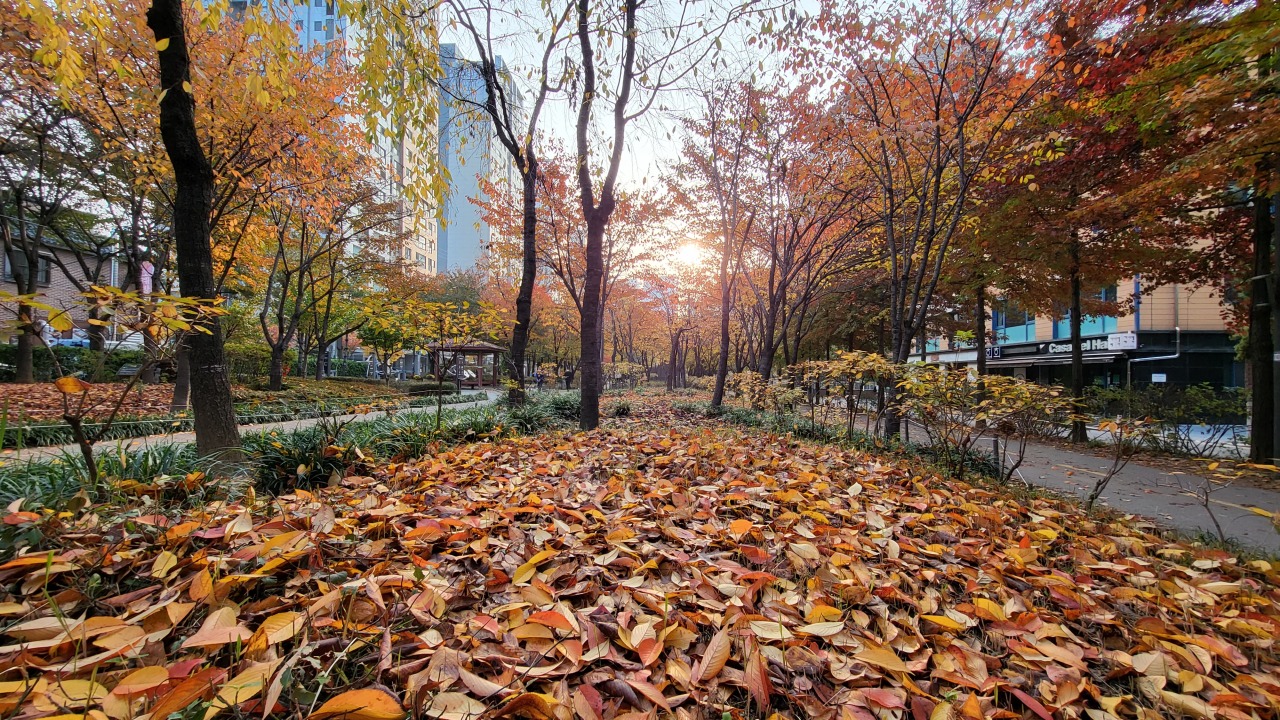 The Gyeongui Line Forest Park in northern Seoul is dotted with modern cafes and restaurants on both sides. (Kim Hae-yeon/The Korea Herald)