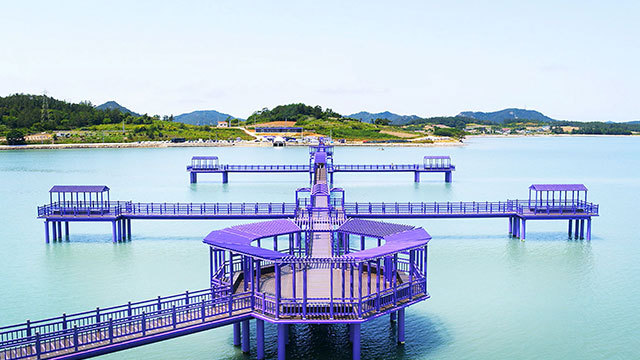 The Purple Island in Sinan, South Jeolla Province (Sinan County)