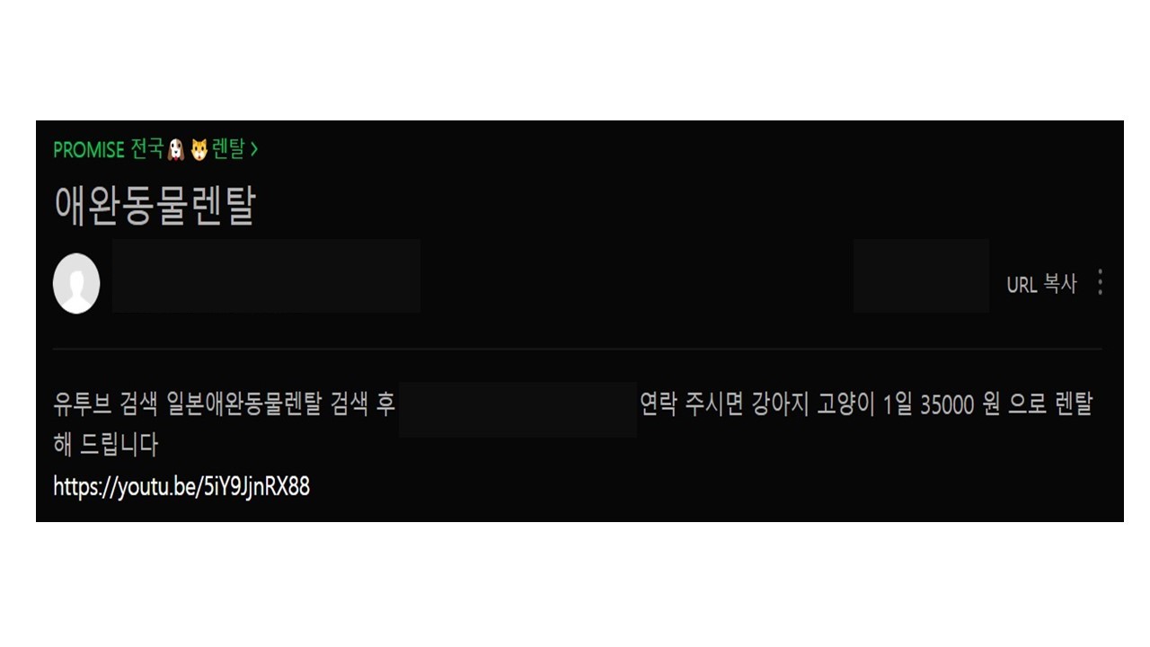 A screenshot of a blog posting on Naver promoting a pet rental service. (Naver)